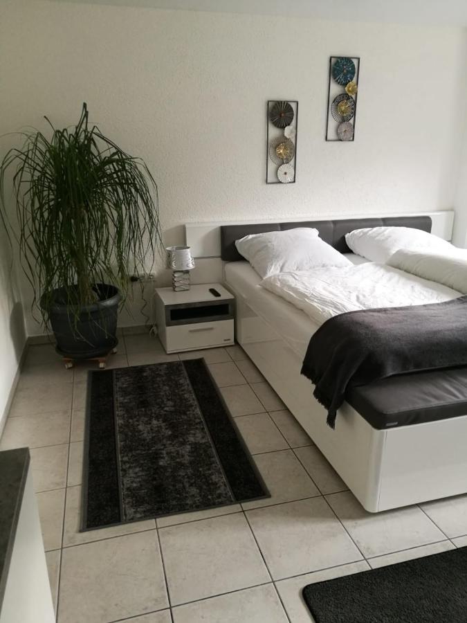 Ferienapartment "Vier Pfoten" In كورباخ المظهر الخارجي الصورة